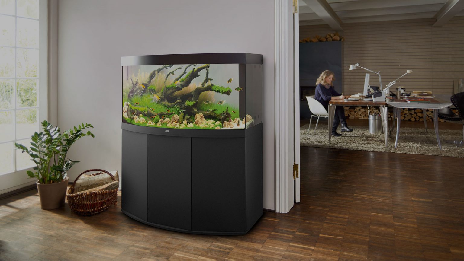 10 Benefits of Setting up a Home Aquarium in 2023 Your Aquarium