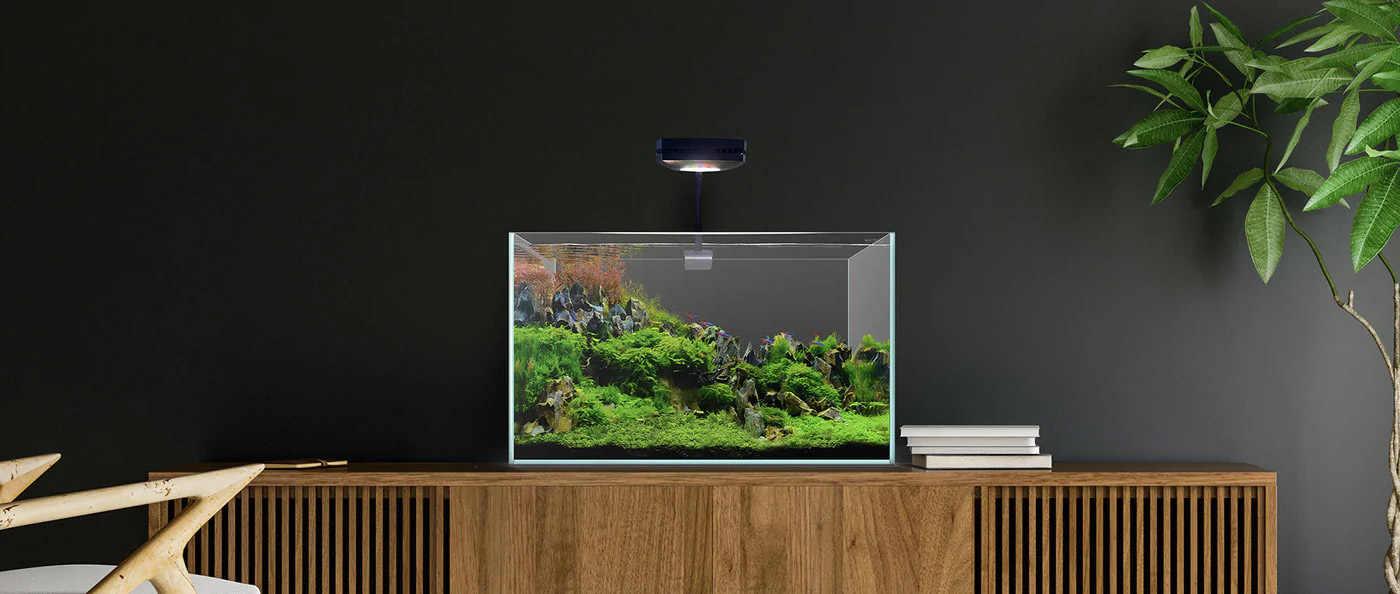 10 Benefits of Setting up a Home Aquarium in 2023 Your Aquarium