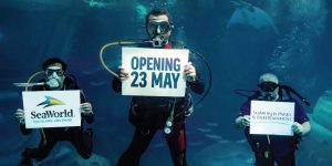 Worlds-Largest-Aquarium-to-Open-Next-Month-1