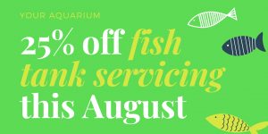 New Grey Finish Option Now Available for Juwel Aquariums – Your Aquarium